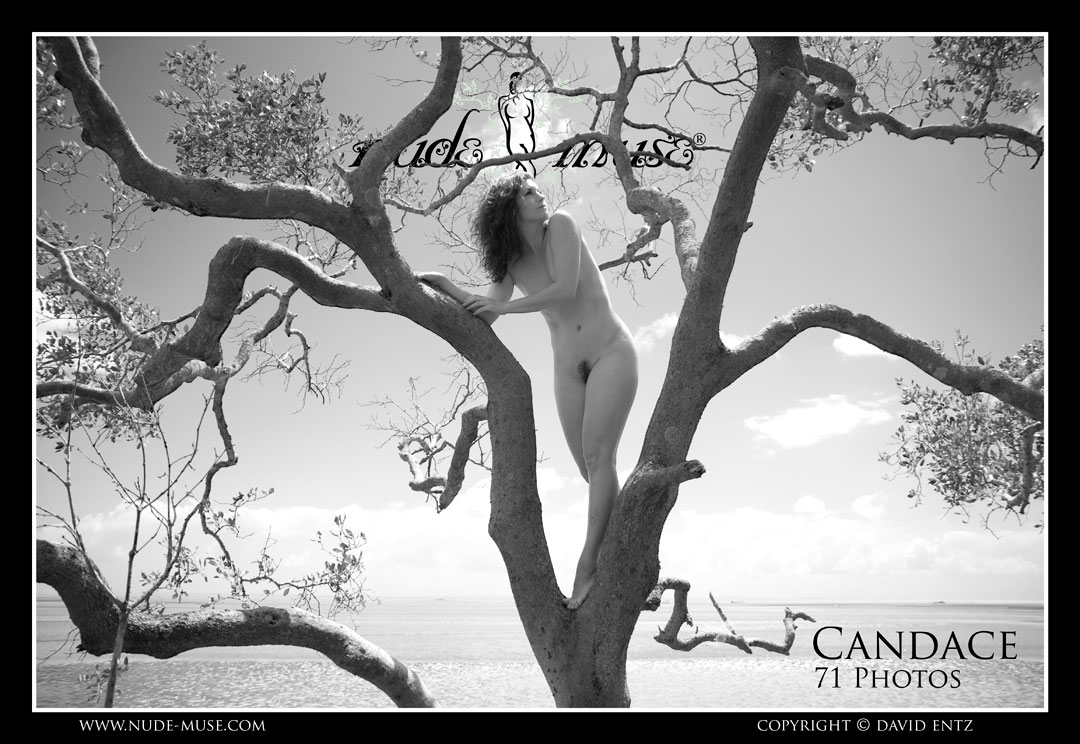 candace nude in a tree