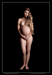 dannii pregnancy nude art