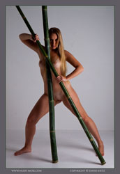 joyce the bamboo