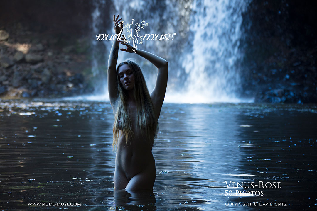 venus-rose water goddess
