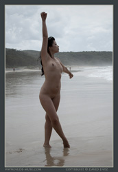 ariana nude beach forms