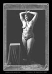 aurelia vintage nude
