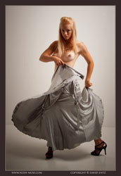 harper silver dress