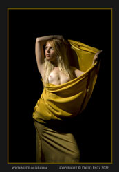 hayley gold dress