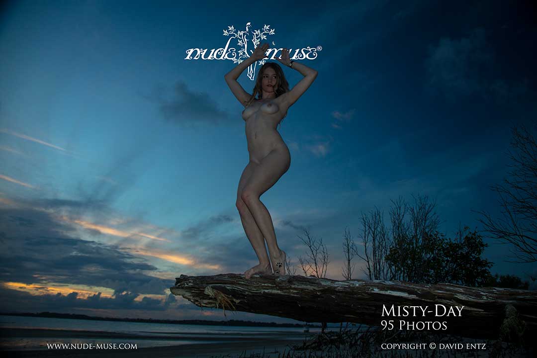 misty-day rising moon - nude muse magazine.