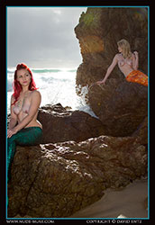 nude news mermaids