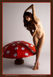 wendy red mushroom