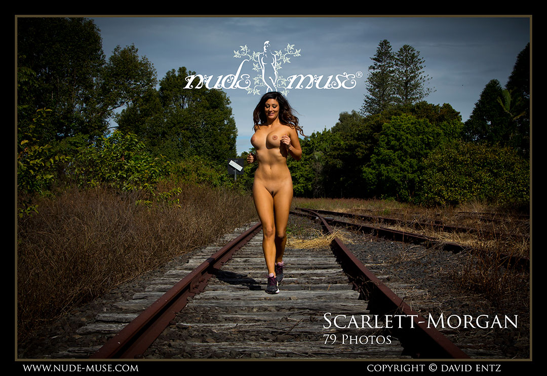scarlett-morgan railway
